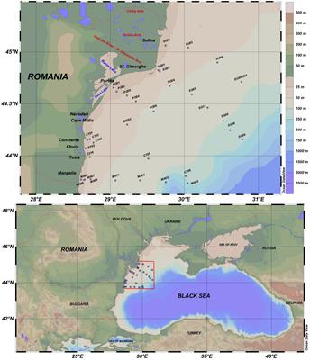 Spatial distribution of trace elements and potential contamination sources for surface sediments of the North-Western Black Sea, Romania